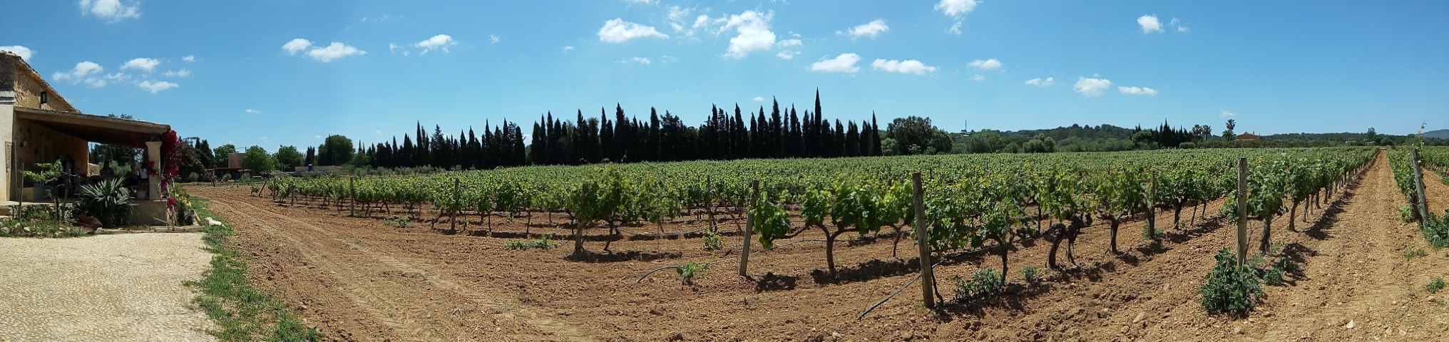 Private Wine tour Majorca"