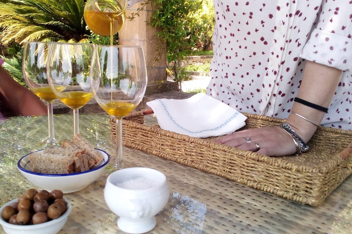Olive Oil and Wine Tour Mallorca